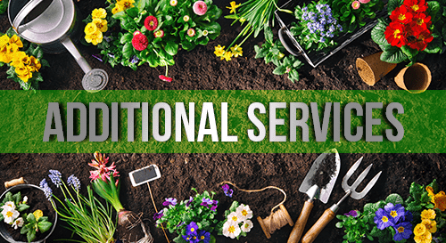 Additional Services