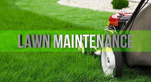 Lawn Maintenance
